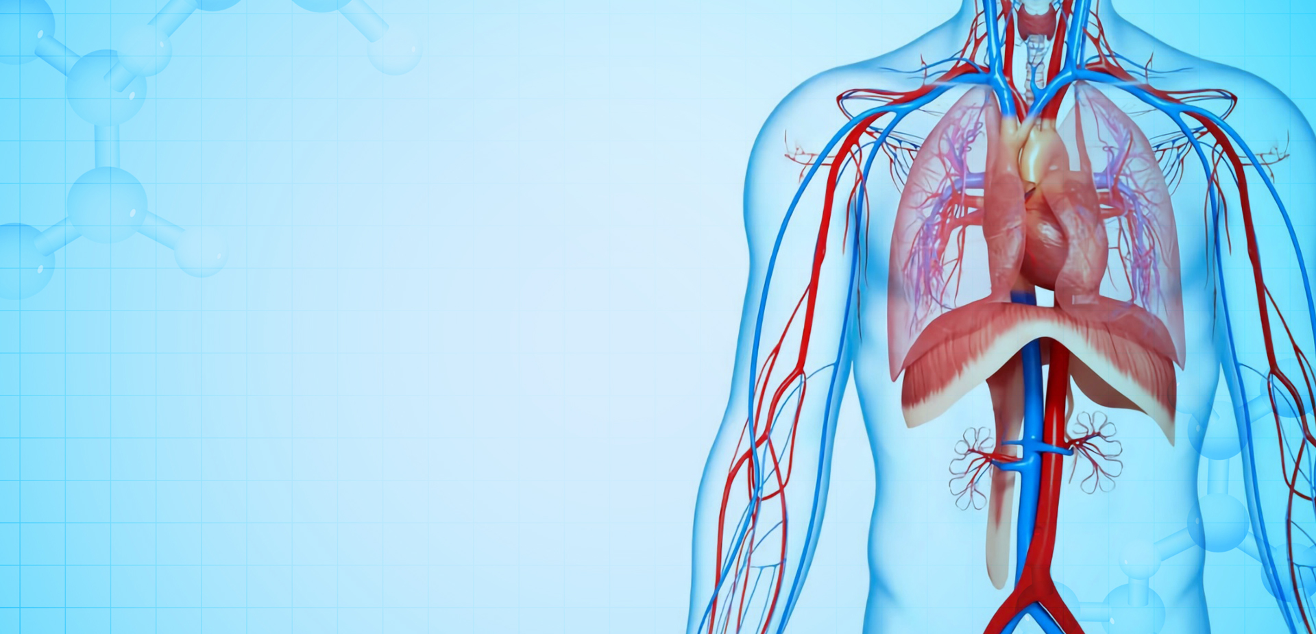 নিংবো লিন্সট্যান্ট পলিমার উপকরণ CO,. LTD.