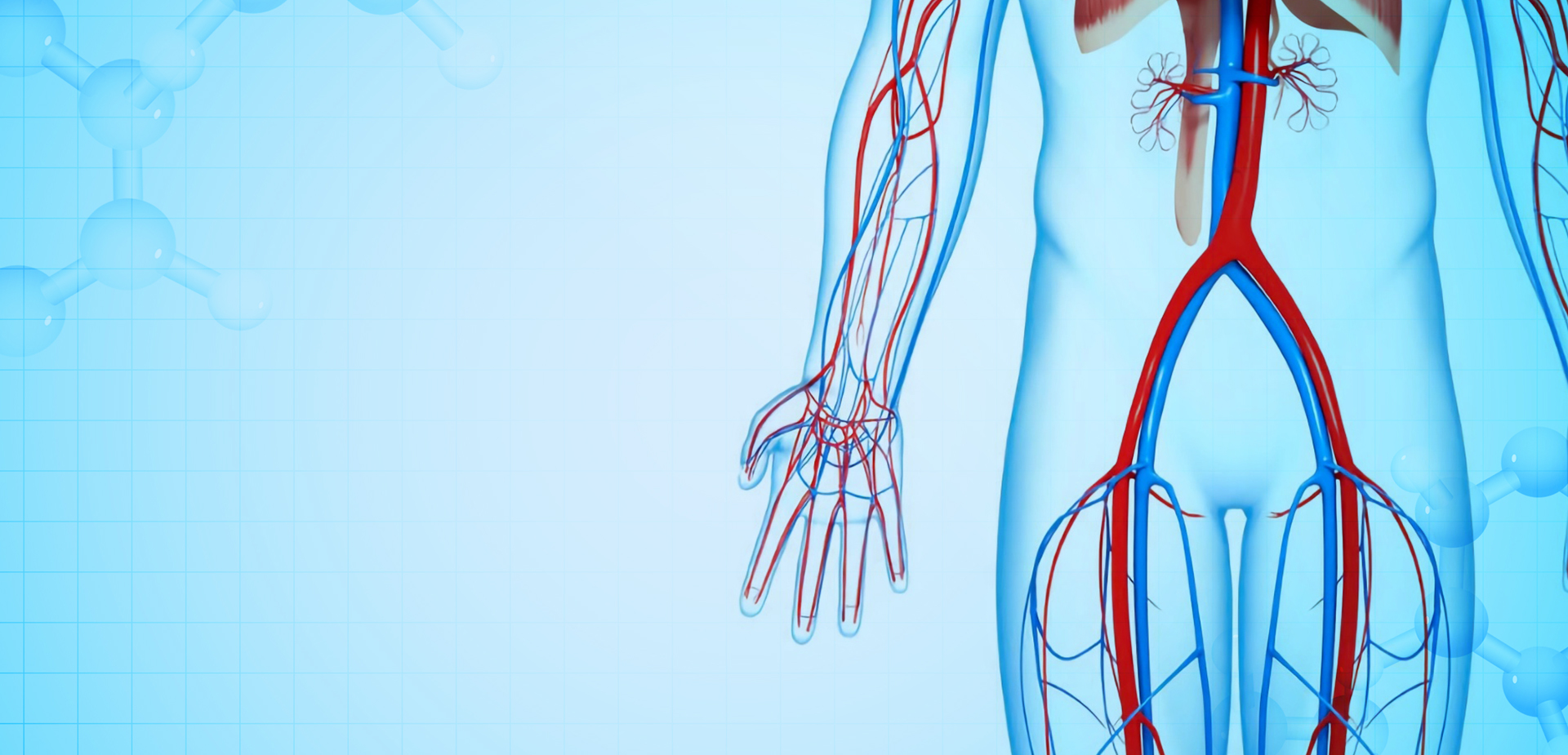 নিংবো লিন্সট্যান্ট পলিমার উপকরণ CO,. LTD.