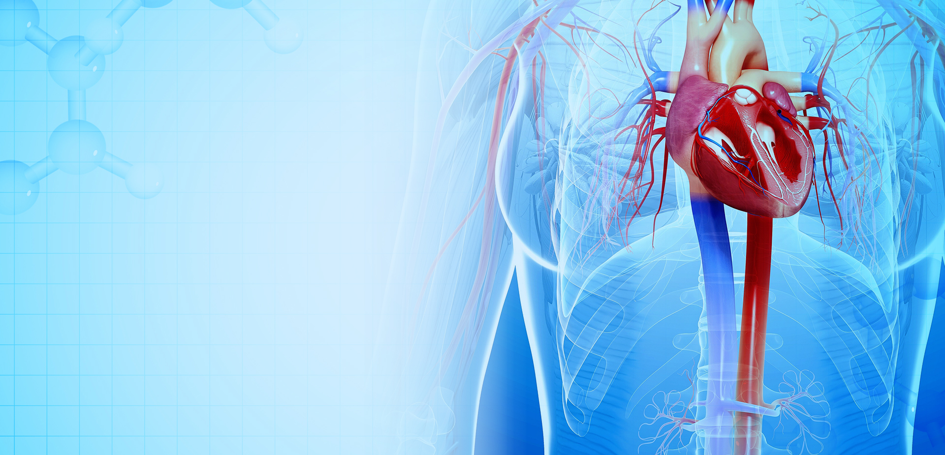 নিংবো লিন্সট্যান্ট পলিমার উপকরণ CO,. LTD.