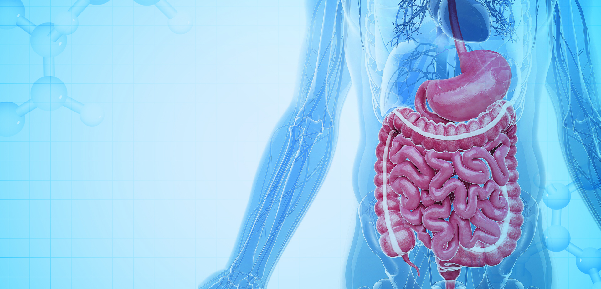 নিংবো লিন্সট্যান্ট পলিমার উপকরণ CO,. LTD.