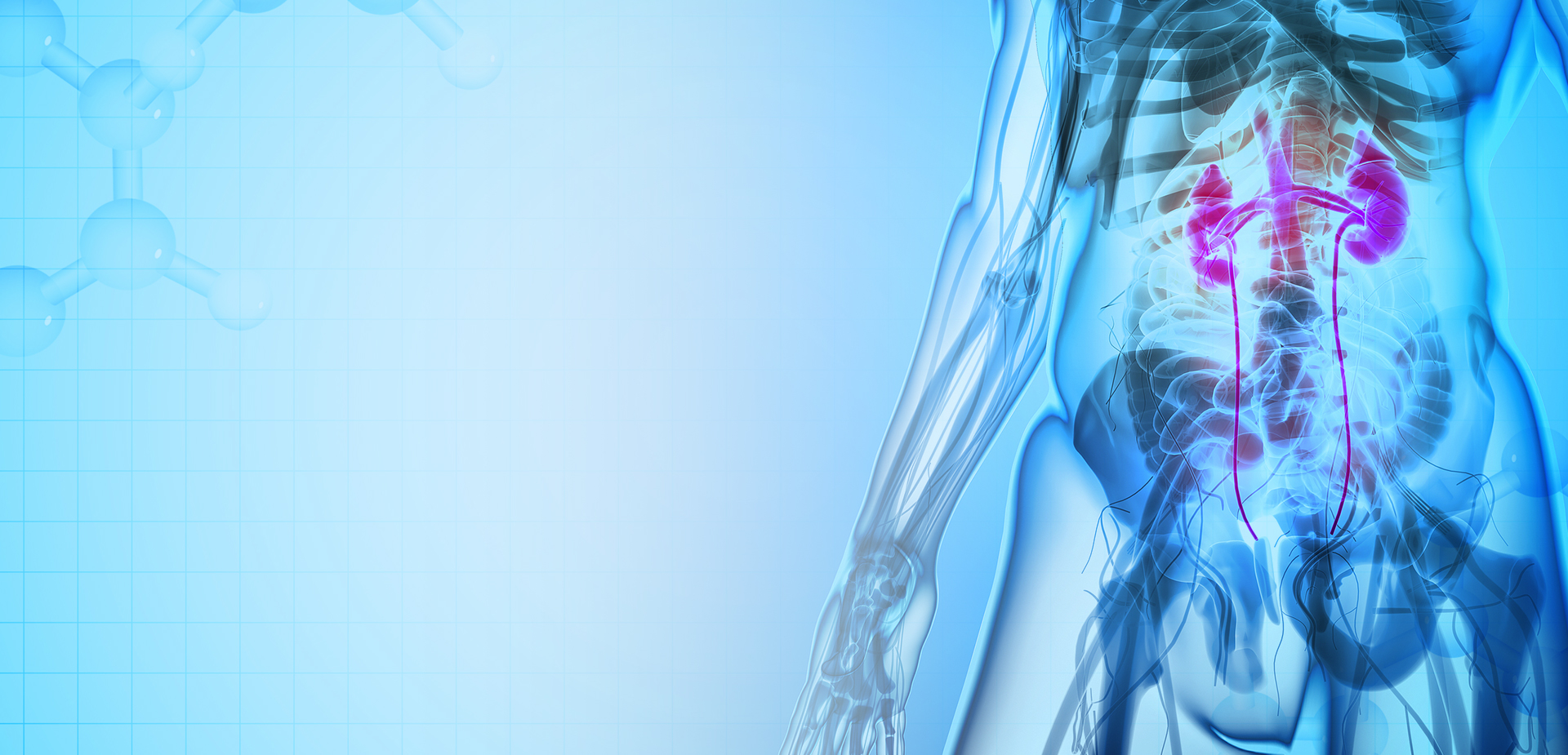 নিংবো লিন্সট্যান্ট পলিমার উপকরণ CO,. LTD.