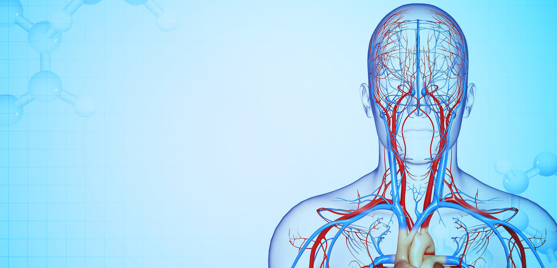 নিংবো লিন্সট্যান্ট পলিমার উপকরণ CO,. LTD.